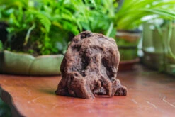 Natural Driftwood For Moss Terrarium, Miniature, Micro Landscape, Unique 10-30, Suitable For Both Live And Preserved Moss -Terrarium Plant Hub IMG 8021