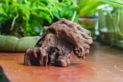 Natural Driftwood For Moss Terrarium, Miniature, Micro Landscape, Unique 10-30, Suitable For Both Live And Preserved Moss -Terrarium Plant Hub IMG 8022