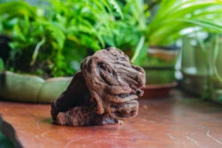 Natural Driftwood For Moss Terrarium, Miniature, Micro Landscape, Unique 10-30, Suitable For Both Live And Preserved Moss -Terrarium Plant Hub IMG 8023