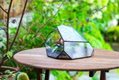 Irregular Geometric Rock Shape Glass And Tin Terrarium, For Moss -Terrarium Plant Hub IMG 8030 5fdd98ed 4957 4d4d bafc 909595a19113