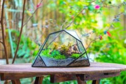Irregular Geometric Rock Shape Glass And Tin Terrarium, For Moss -Terrarium Plant Hub IMG 8042 a45bfea9 e0d4 44ed ad90 b374bda86734