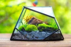 Geometric Terrarium Irregular, Handmade,Tin And Glass -Terrarium Plant Hub IMG 8058 e939d504 9900 4d8d af9d a007a0e74626