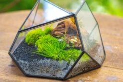 Geometric Terrarium Irregular, Handmade,Tin And Glass -Terrarium Plant Hub IMG 8061 066924a6 2504 4999 9ac5 d68789a1ce4c