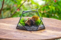 Geometric Terrarium Irregular, Handmade,Tin And Glass -Terrarium Plant Hub IMG 8063 4bd214ae 923f 4351 a309 5aeb03553f5a
