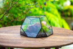 Geometric Terrarium Irregular, Handmade,Tin And Glass -Terrarium Plant Hub IMG 8065 40b0815e 6eed 4c27 a913 56b447504374