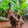 Natural Driftwood For Moss Terrarium, Miniature, Micro Landscape, Unique 10-7, Suitable For Both Live And Preserved Moss -Terrarium Plant Hub IMG 8070