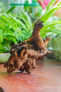 Natural Driftwood For Moss Terrarium, Miniature, Micro Landscape, Unique 10-7, Suitable For Both Live And Preserved Moss -Terrarium Plant Hub IMG 8073