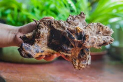 Natural Driftwood For Moss Terrarium, Miniature, Micro Landscape, Unique 10-7, Suitable For Both Live And Preserved Moss -Terrarium Plant Hub IMG 8079