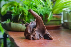 Natural Driftwood For Moss Terrarium, Miniature, Micro Landscape, Unique 10-9, Suitable For Both Live And Preserved Moss -Terrarium Plant Hub IMG 8086