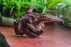 Natural Driftwood For Moss Terrarium, Miniature, Micro Landscape, Unique 10-9, Suitable For Both Live And Preserved Moss -Terrarium Plant Hub IMG 8088