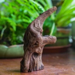 Natural Driftwood For Moss Terrarium, Miniature, Micro Landscape, Unique 10-6, Suitable For Both Live And Preserved Moss -Terrarium Plant Hub IMG 8091