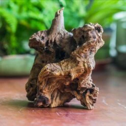 Natural Driftwood For Moss Terrarium, Miniature, Micro Landscape, Unique 10-8, Suitable For Both Live And Preserved Moss -Terrarium Plant Hub IMG 8108