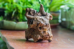 Natural Driftwood For Moss Terrarium, Miniature, Micro Landscape, Unique 10-8, Suitable For Both Live And Preserved Moss -Terrarium Plant Hub IMG 8110