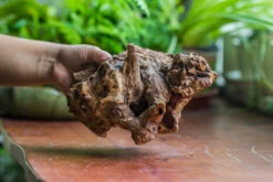 Natural Driftwood For Moss Terrarium, Miniature, Micro Landscape, Unique 10-8, Suitable For Both Live And Preserved Moss -Terrarium Plant Hub IMG 8113