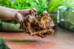 Natural Driftwood For Moss Terrarium, Miniature, Micro Landscape, Unique 10-8, Suitable For Both Live And Preserved Moss -Terrarium Plant Hub IMG 8114