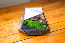 Geometric Terrarium Irregular, Handmade,Tin And Glass -Terrarium Plant Hub IMG 8124 cbac7295 ba09 4753 9655 f9f0660a0e35