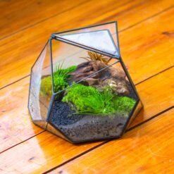 Geometric Terrarium Irregular, Handmade,Tin And Glass -Terrarium Plant Hub IMG 8132 2