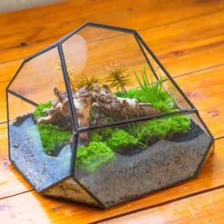 Irregular Geometric Rock Shape Glass And Tin Terrarium, For Moss -Terrarium Plant Hub IMG 8146 2