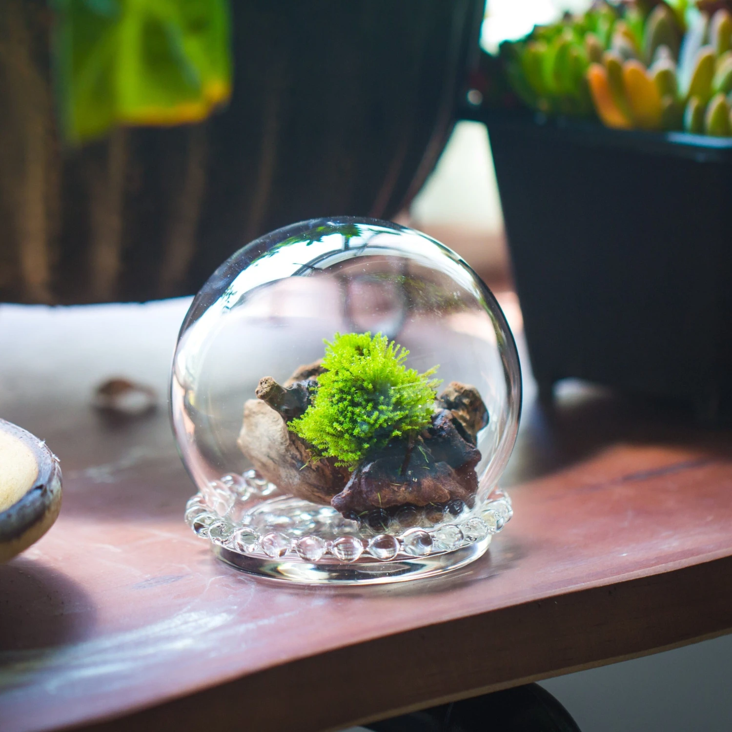 3 Units Mini Glass Globe Cloche With Decorative Beaded Base 9.5x10.8cm 4 3 Units Mini Glass Globe Cloche With Decorative Beaded Base 9.5x10.8cm - Image 2