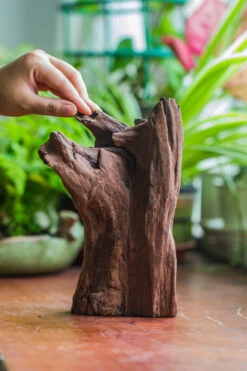 Natural Driftwood For Moss Terrarium, Miniature, Micro Landscape, Unique 10-22, Suitable For Both Live And Preserved Moss -Terrarium Plant Hub IMG 8148 bef8587a 06ad 4682 a885 47a8c3747224