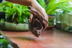 Natural Driftwood For Moss Terrarium, Miniature, Micro Landscape, Unique 10-22, Suitable For Both Live And Preserved Moss -Terrarium Plant Hub IMG 8149 3ae2bf9f d410 423e 901a e1caad654211