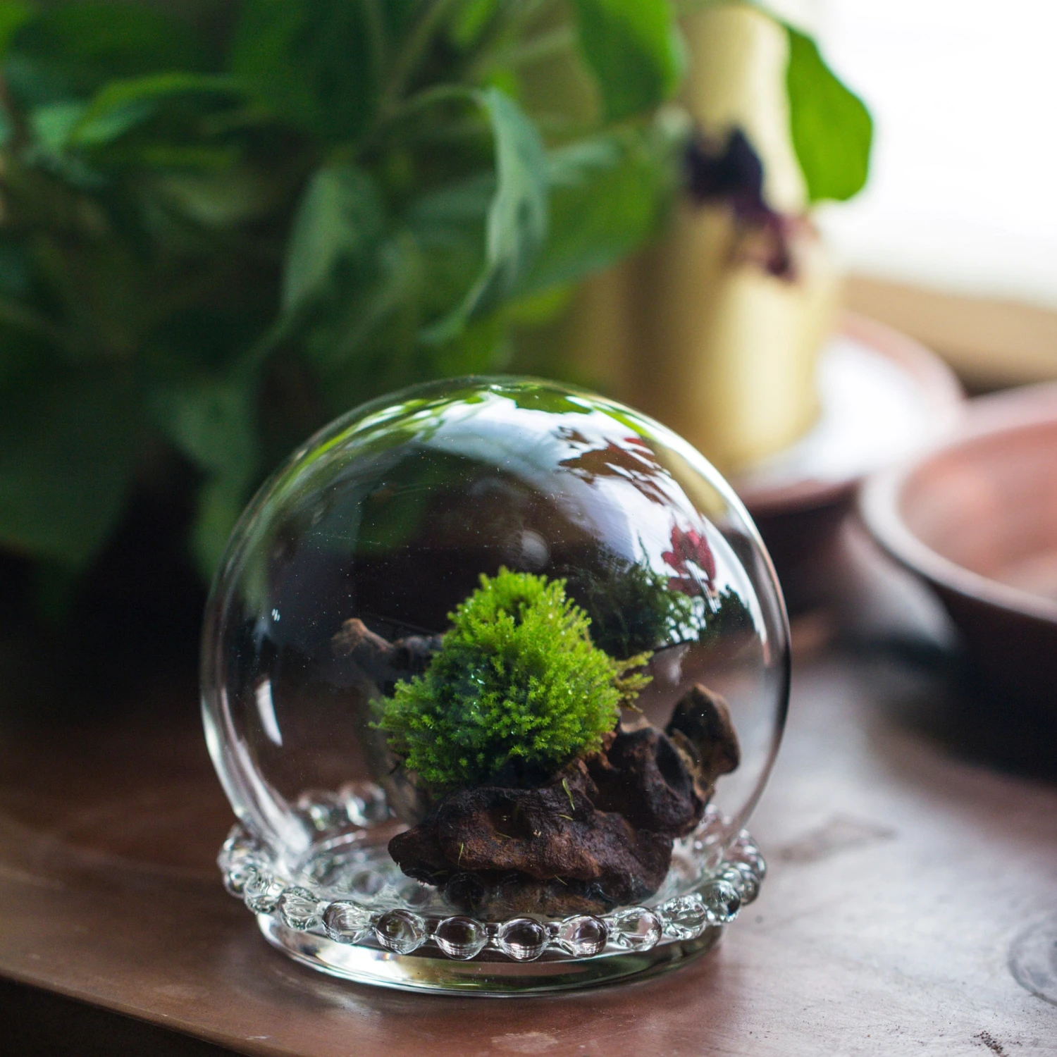 3 Units Mini Glass Globe Cloche With Decorative Beaded Base 9.5x10.8cm 3 3 Units Mini Glass Globe Cloche With Decorative Beaded Base 9.5x10.8cm