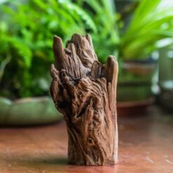 Natural Driftwood For Moss Terrarium, Miniature, Micro Landscape, Unique 10-17, Suitable For Both Live And Preserved Moss -Terrarium Plant Hub IMG 8152