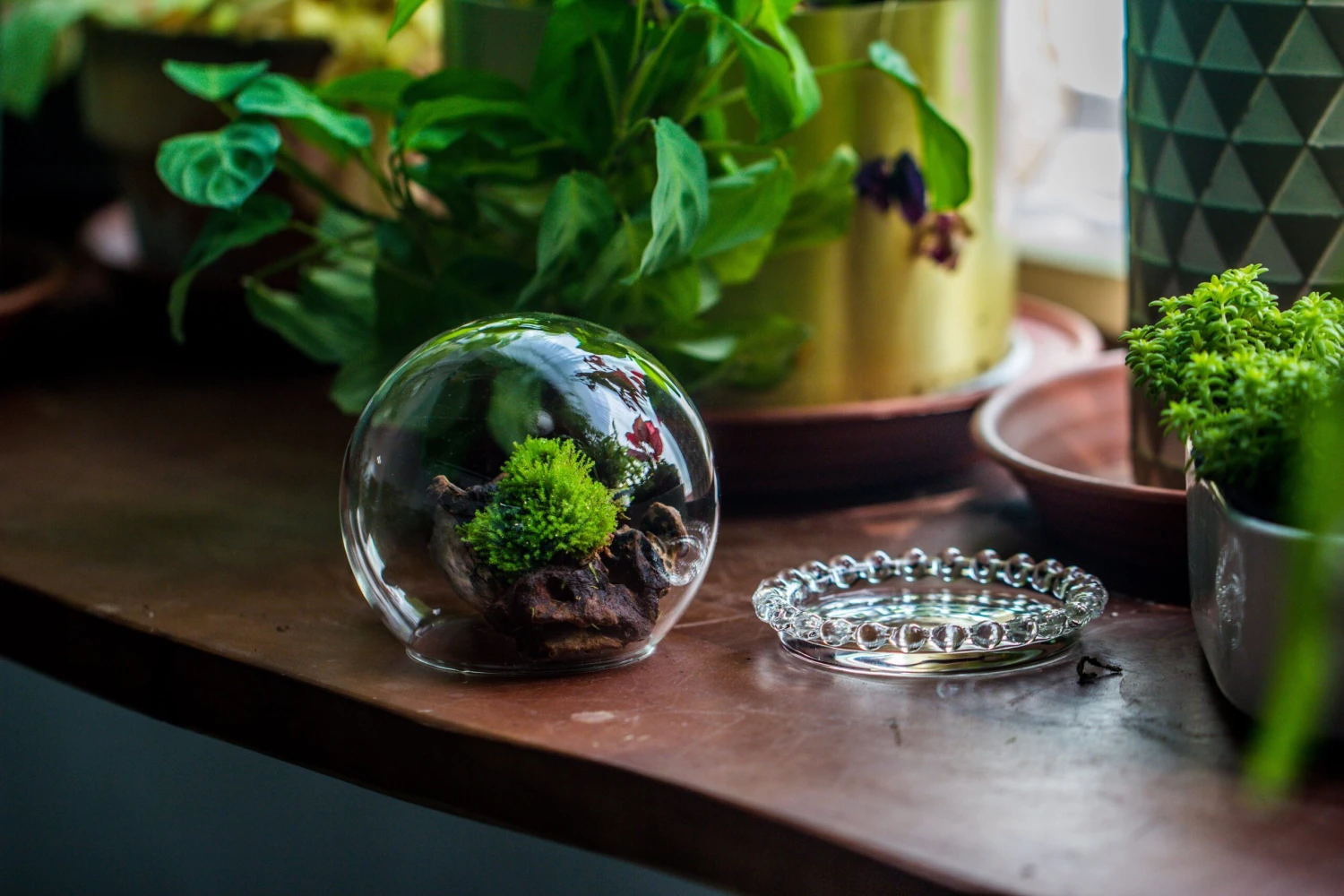 3 Units Mini Glass Globe Cloche With Decorative Beaded Base 9.5x10.8cm 11 3 Units Mini Glass Globe Cloche With Decorative Beaded Base 9.5x10.8cm - Image 9