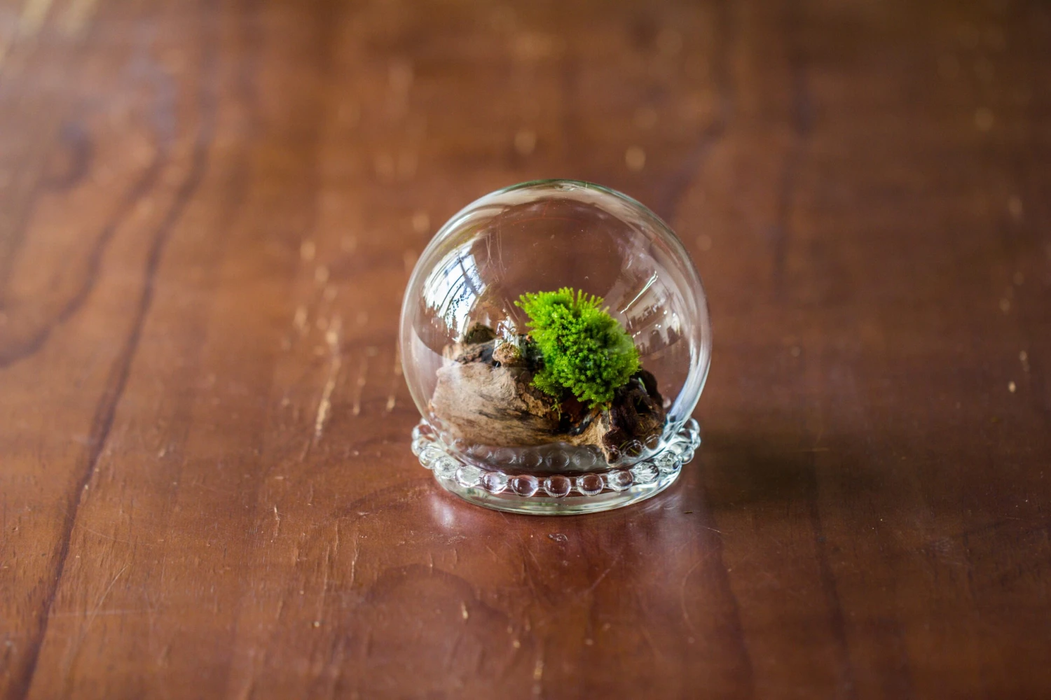 3 Units Mini Glass Globe Cloche With Decorative Beaded Base 9.5x10.8cm 15 3 Units Mini Glass Globe Cloche With Decorative Beaded Base 9.5x10.8cm - Image 13