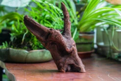 Natural Driftwood For Moss Terrarium, Miniature, Micro Landscape, Unique 10-47, Suitable For Both Live And Preserved Moss -Terrarium Plant Hub IMG 8166