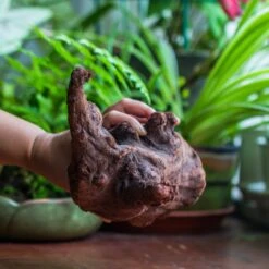 Natural Driftwood For Moss Terrarium, Miniature, Micro Landscape, Unique 10-47, Suitable For Both Live And Preserved Moss -Terrarium Plant Hub IMG 8168