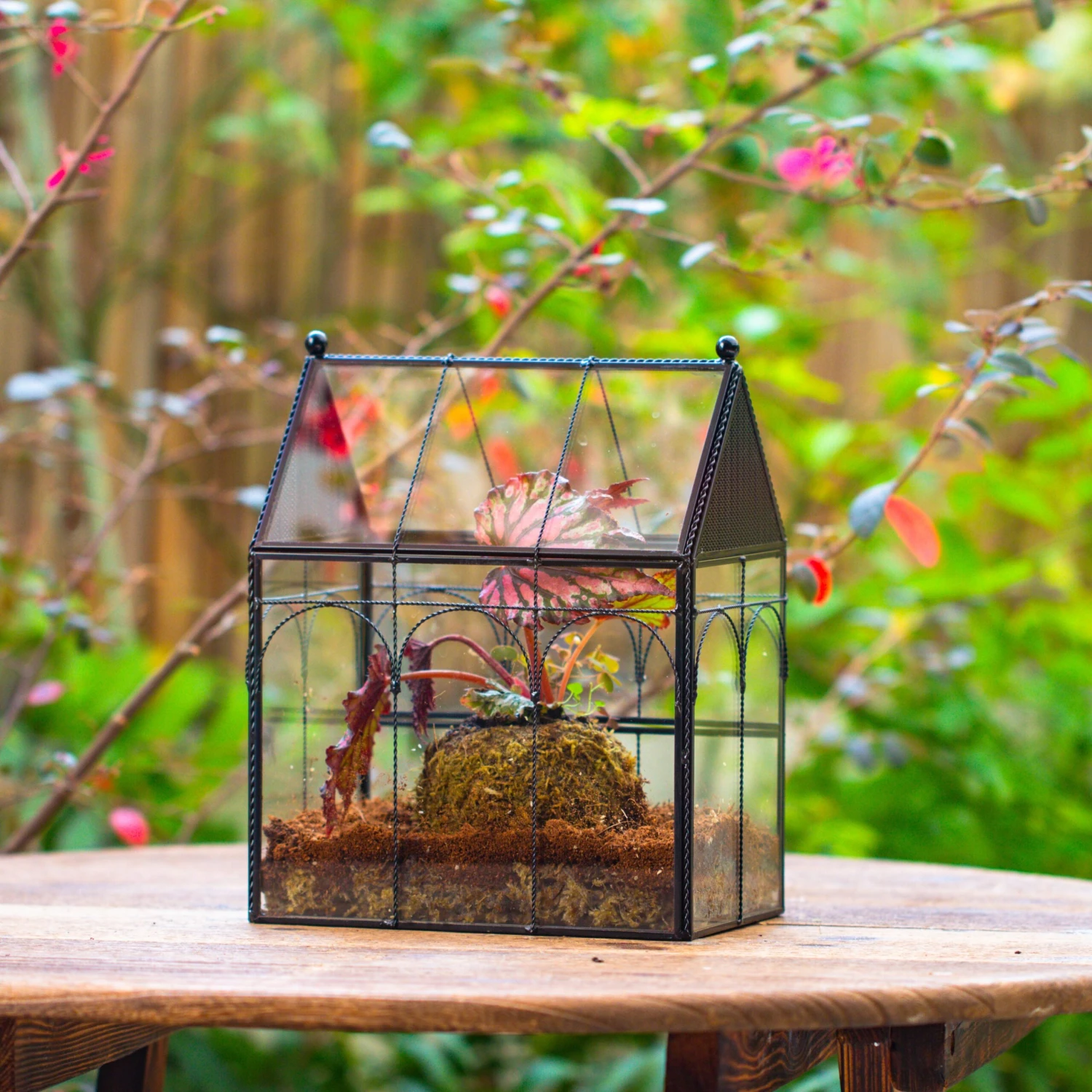 NCYP Vintage House Shape Glass Geometric Terrarium, With Side Door, With Mesh Vent Holes For Small Insects Pet 4 NCYP Vintage House Shape Glass Geometric Terrarium, With Side Door, With Mesh Vent Holes For Small Insects Pet - Image 2