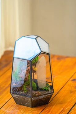 NCYP Large Close Geometric Glass Terrarium With Door, Tin Sealed Irregular Tall Planter For Moss Flower Pot -Terrarium Plant Hub IMG 8177 1