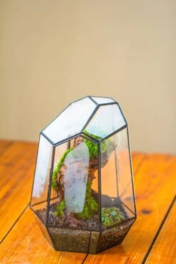 NCYP Large Close Geometric Glass Terrarium With Door, Tin Sealed Irregular Tall Planter For Moss Flower Pot -Terrarium Plant Hub IMG 8178 d6972f89 c096 4f08 be4e a97d57c99f1b