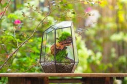 NCYP Large Close Geometric Glass Terrarium With Door, Tin Sealed Irregular Tall Planter For Moss Flower Pot -Terrarium Plant Hub IMG 8189 1