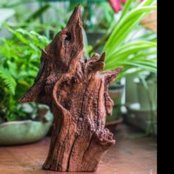 Natural Driftwood For Moss Terrarium, Miniature, Micro Landscape, Unique 10-33, Suitable For Both Live And Preserved Moss -Terrarium Plant Hub IMG 8191 f19f6e91 e3df 421c 90c1 6907fbce6121