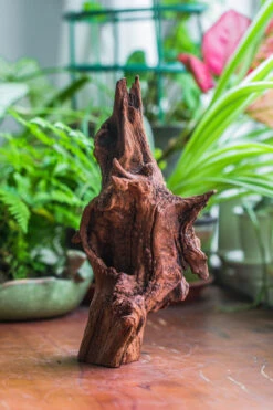 Natural Driftwood For Moss Terrarium, Miniature, Micro Landscape, Unique 10-33, Suitable For Both Live And Preserved Moss -Terrarium Plant Hub IMG 8192