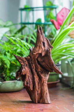 Natural Driftwood For Moss Terrarium, Miniature, Micro Landscape, Unique 10-33, Suitable For Both Live And Preserved Moss -Terrarium Plant Hub IMG 8194