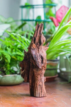 Natural Driftwood For Moss Terrarium, Miniature, Micro Landscape, Unique 10-33, Suitable For Both Live And Preserved Moss -Terrarium Plant Hub IMG 8195