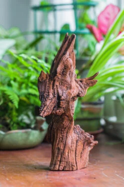 Natural Driftwood For Moss Terrarium, Miniature, Micro Landscape, Unique 10-33, Suitable For Both Live And Preserved Moss -Terrarium Plant Hub IMG 8197