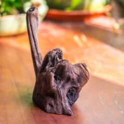 Natural Driftwood For Moss Terrarium, Miniature, Micro Landscape, Unique 10-54, Suitable For Both Live And Preserved Moss -Terrarium Plant Hub IMG 8239 129ff761 e435 4e2e 9f4b 85f47832d92e