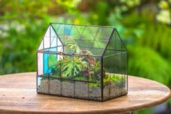 Blue Pink White Stained Glass House Shape Geometric Terrarium, Vintage Style, Close -Terrarium Plant Hub IMG 8240