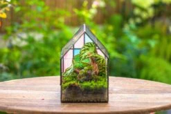Blue Pink White Stained Glass House Shape Geometric Terrarium, Vintage Style, Close -Terrarium Plant Hub IMG 8241