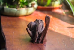 Natural Driftwood For Moss Terrarium, Miniature, Micro Landscape, Unique 10-54, Suitable For Both Live And Preserved Moss -Terrarium Plant Hub IMG 8241 9edff1ed f6cc 4626 a044 c630416b59e6