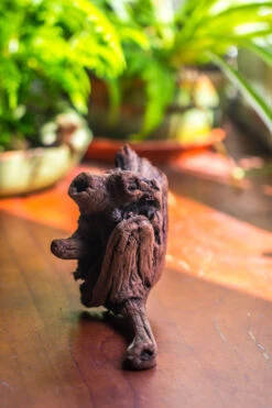 Natural Driftwood For Moss Terrarium, Miniature, Micro Landscape, Unique 10-54, Suitable For Both Live And Preserved Moss -Terrarium Plant Hub IMG 8242 afafed78 b7f4 4e49 a522 3b10ca6a1f9f