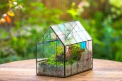 Blue Pink White Stained Glass House Shape Geometric Terrarium, Vintage Style, Close -Terrarium Plant Hub IMG 8245