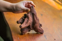 Natural Driftwood For Moss Terrarium, Miniature, Micro Landscape, Unique 10-50, Suitable For Both Live And Preserved Moss -Terrarium Plant Hub IMG 8266