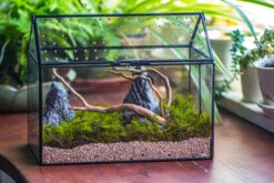 Handmade Close House-shaped Glass Terrarium Enclosure, With Acrylic Mesh Vent, For Jumping Spider, Snail Habitat, Terrarium Only -Terrarium Plant Hub IMG 8268