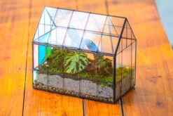 Blue Pink White Stained Glass House Shape Geometric Terrarium, Vintage Style, Close -Terrarium Plant Hub IMG 8268 0ba6ee5a e55d 4592 9995 f5457f64bb80