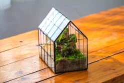 Blue Pink White Stained Glass House Shape Geometric Terrarium, Vintage Style, Close -Terrarium Plant Hub IMG 8269 f0ad51af f30f 4abb a9cf 615e3129fcdd